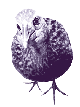 weka3